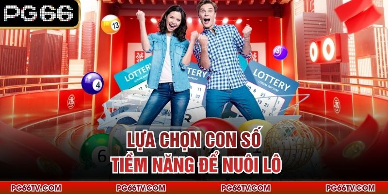Lựa chọn con số tiềm năng để nuôi lô